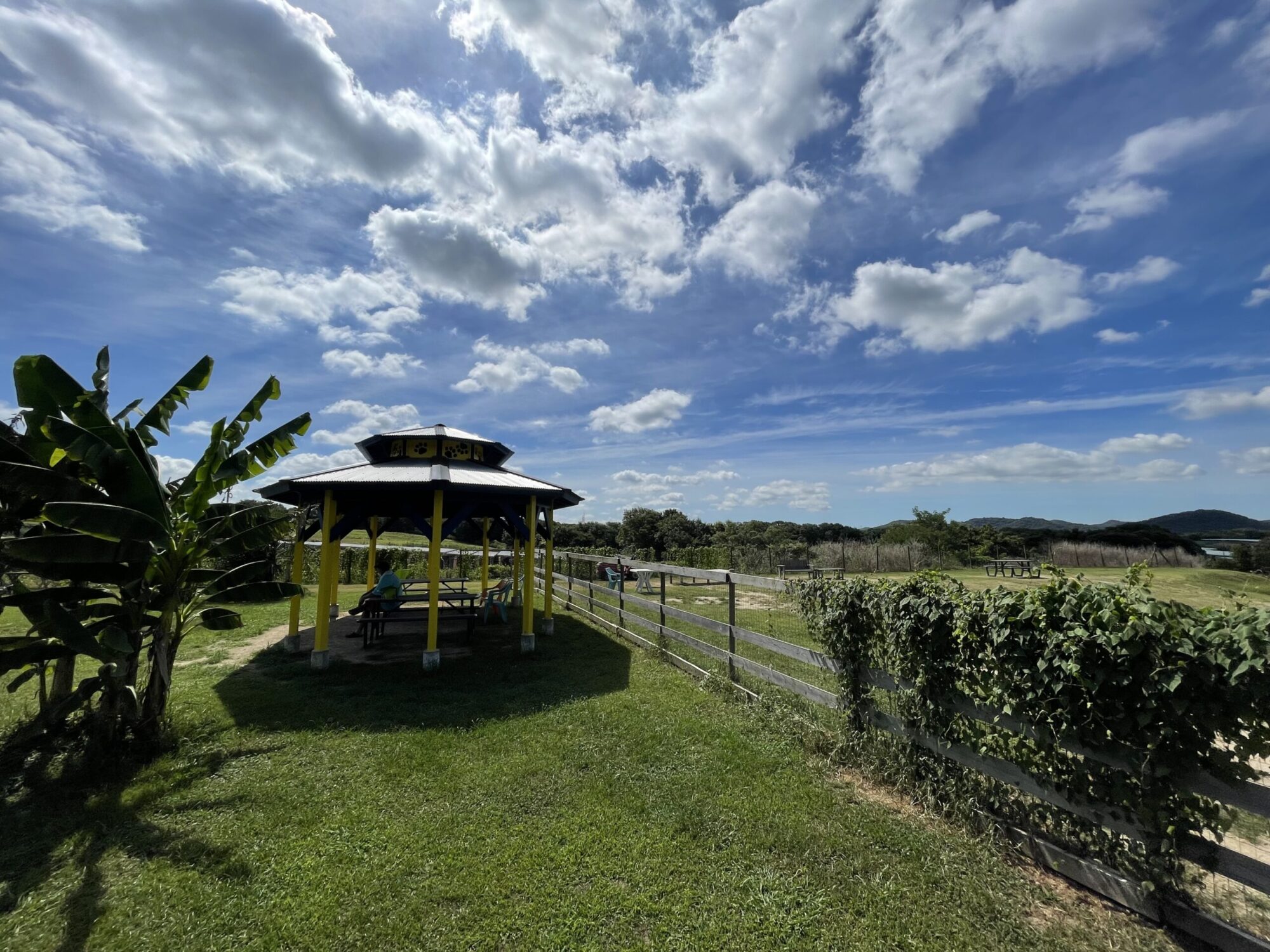 加西ドッグガーデン