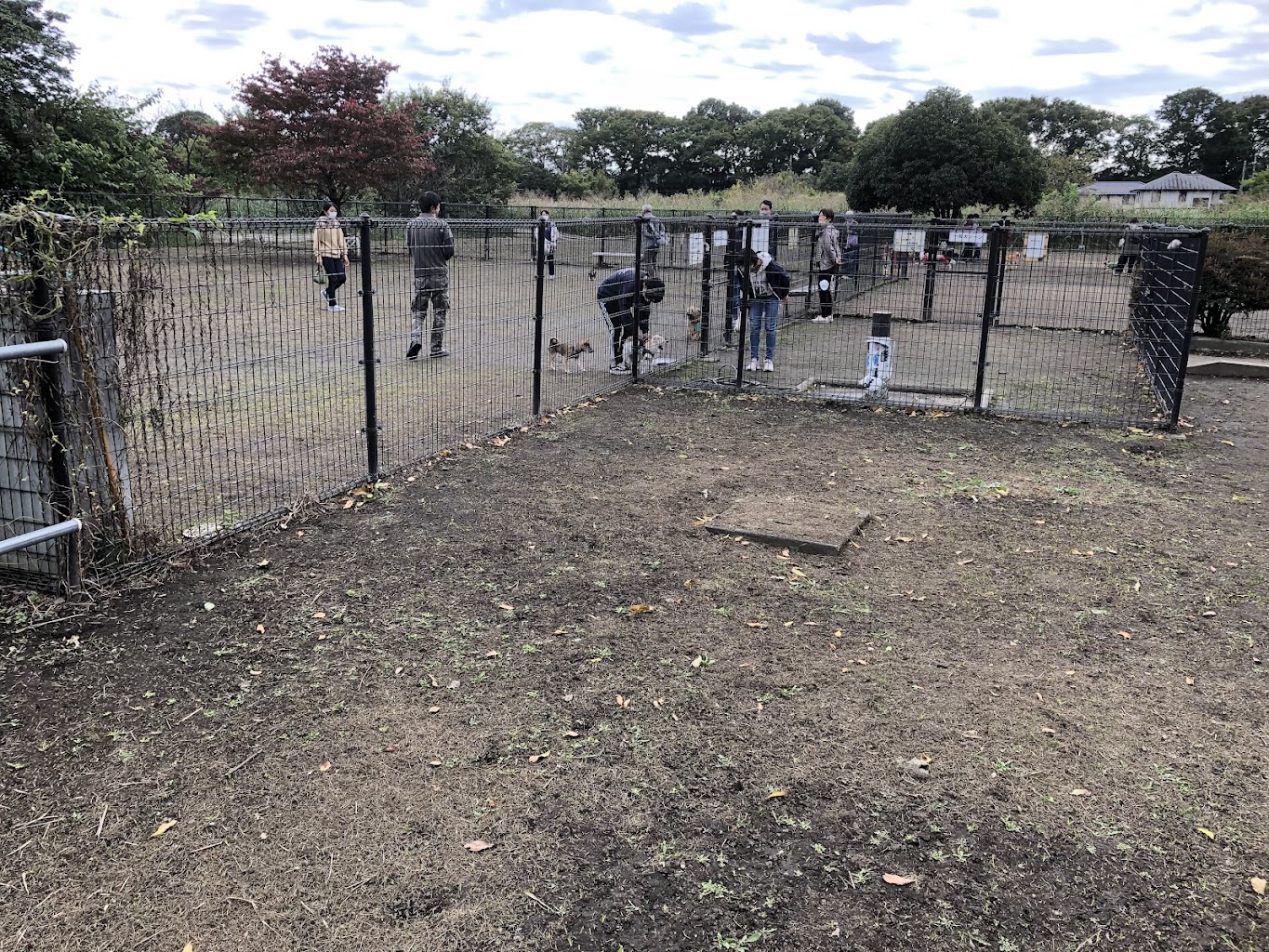 大間木ドッグラン