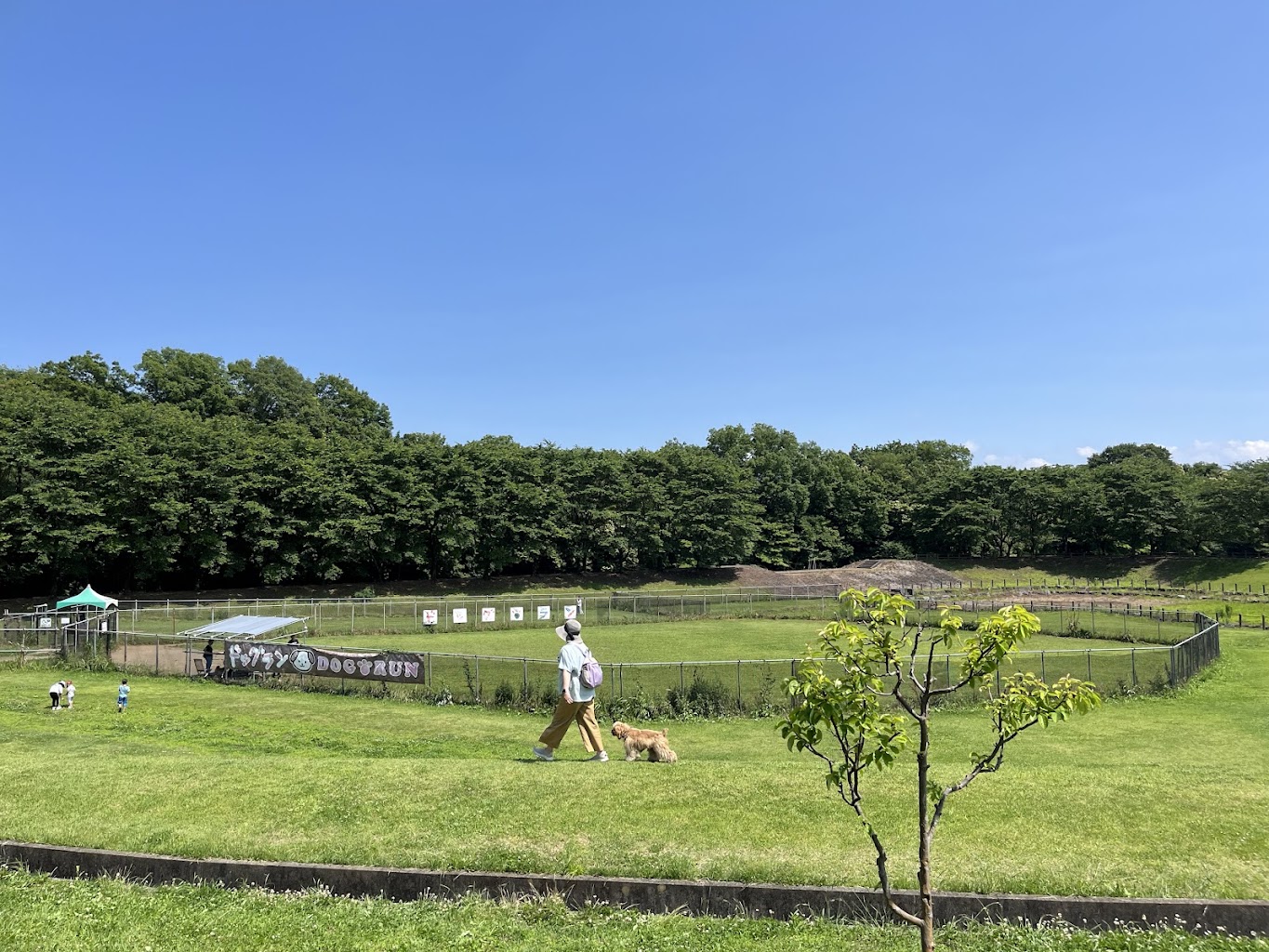 小型犬専用ドッグラン（道の駅ろまんちっく村）