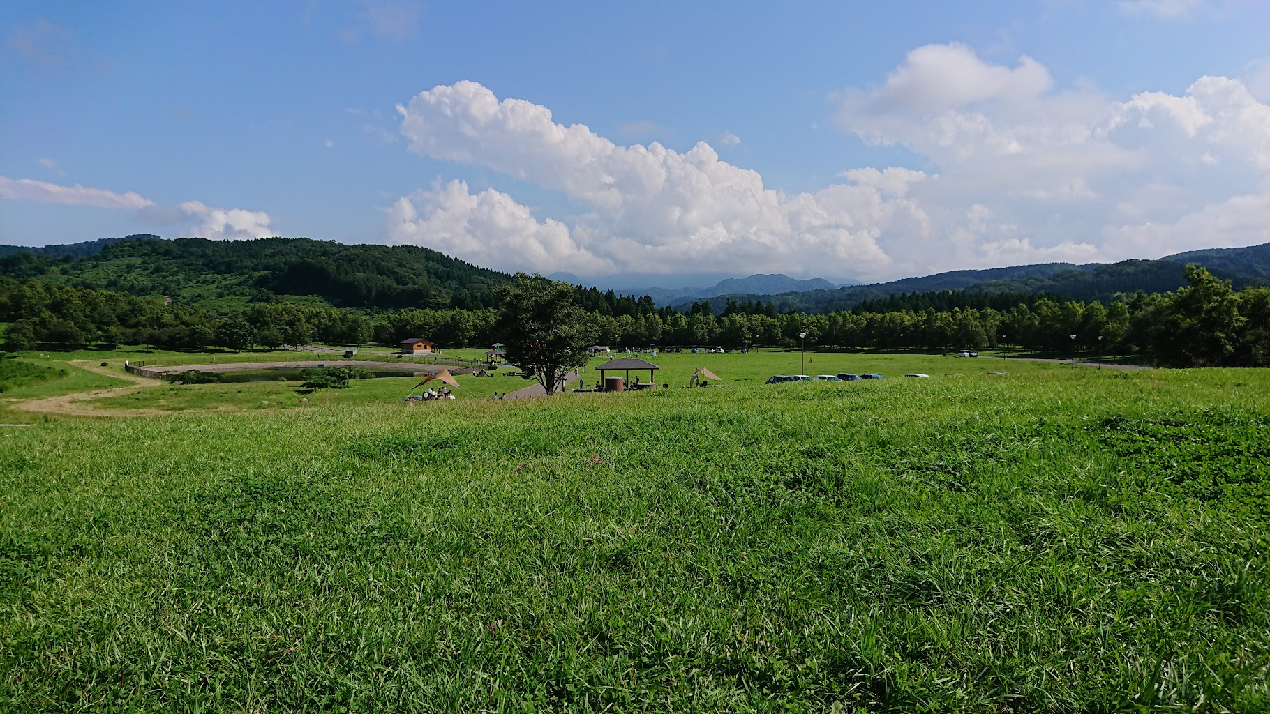 たにはま公園 ドッグラン