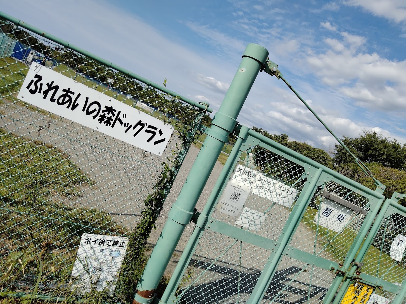 ふれあいの森ドッグラン