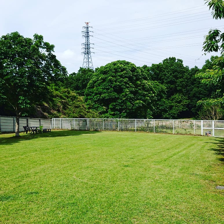 ドッグラン下籠谷