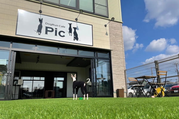 ドッグカフェ　エマ