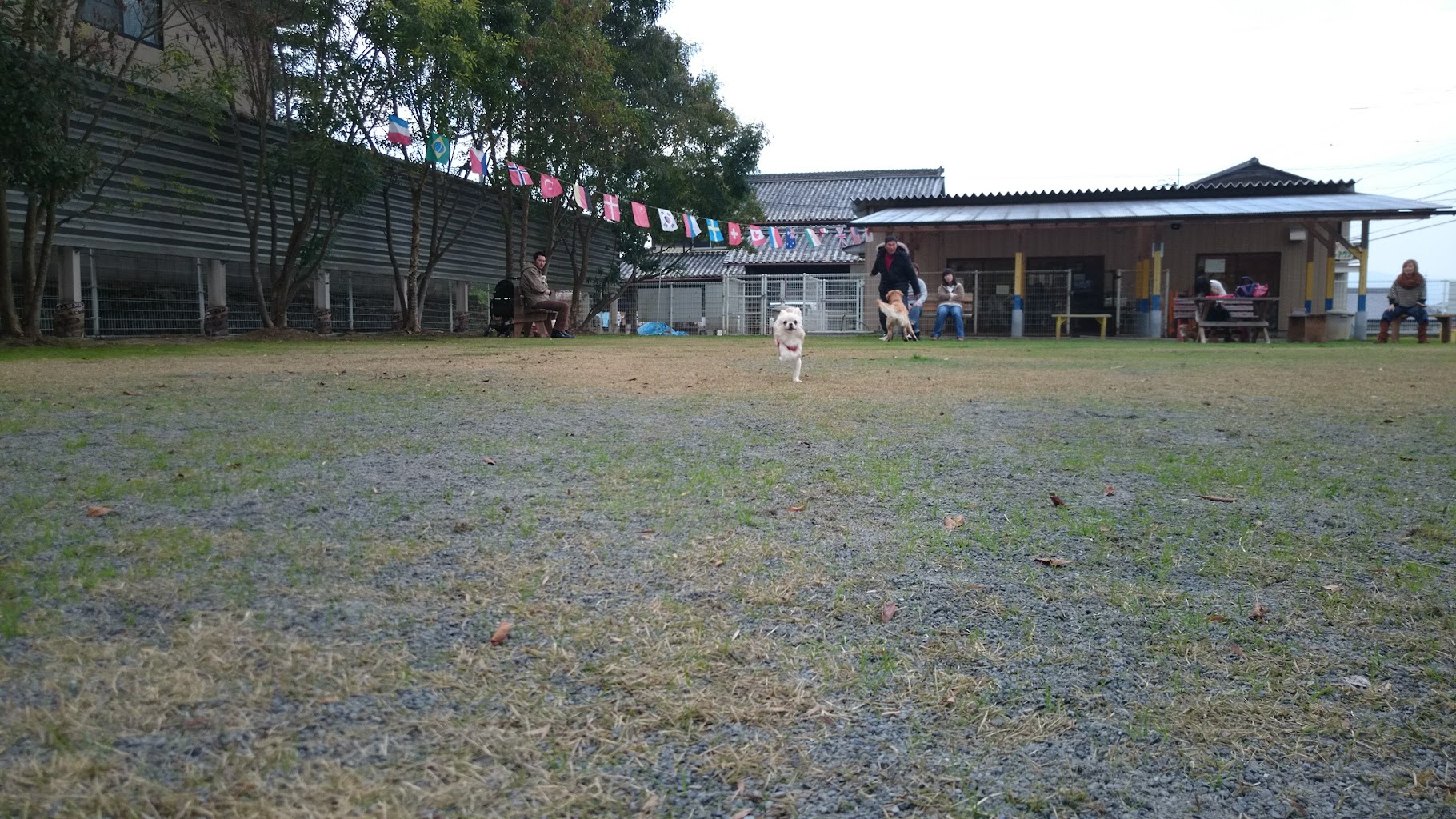 こうつドッグわん