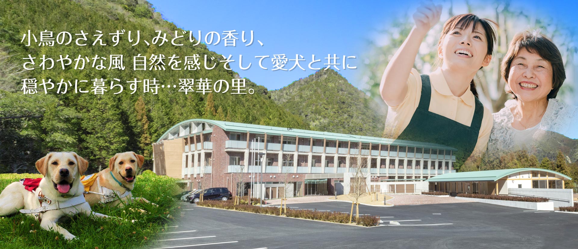 サーブアイランド