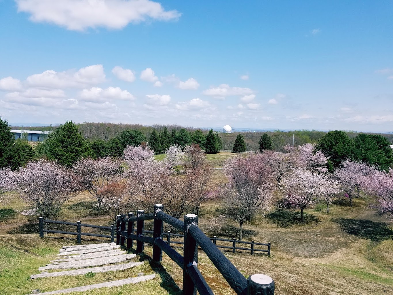 はやぶさ公園 ワンワンふれあい広場