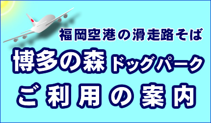 博多の森ドッグパーク