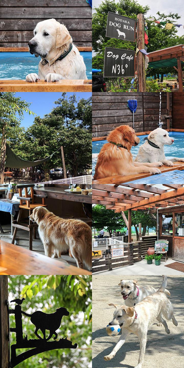 穂高ドッグラン