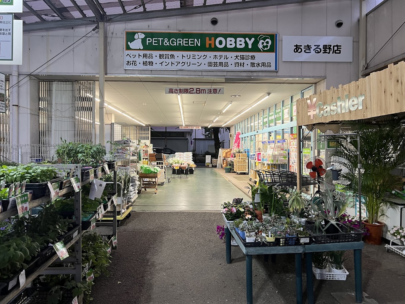 ムラウチホビー秋川店　ドッグラン