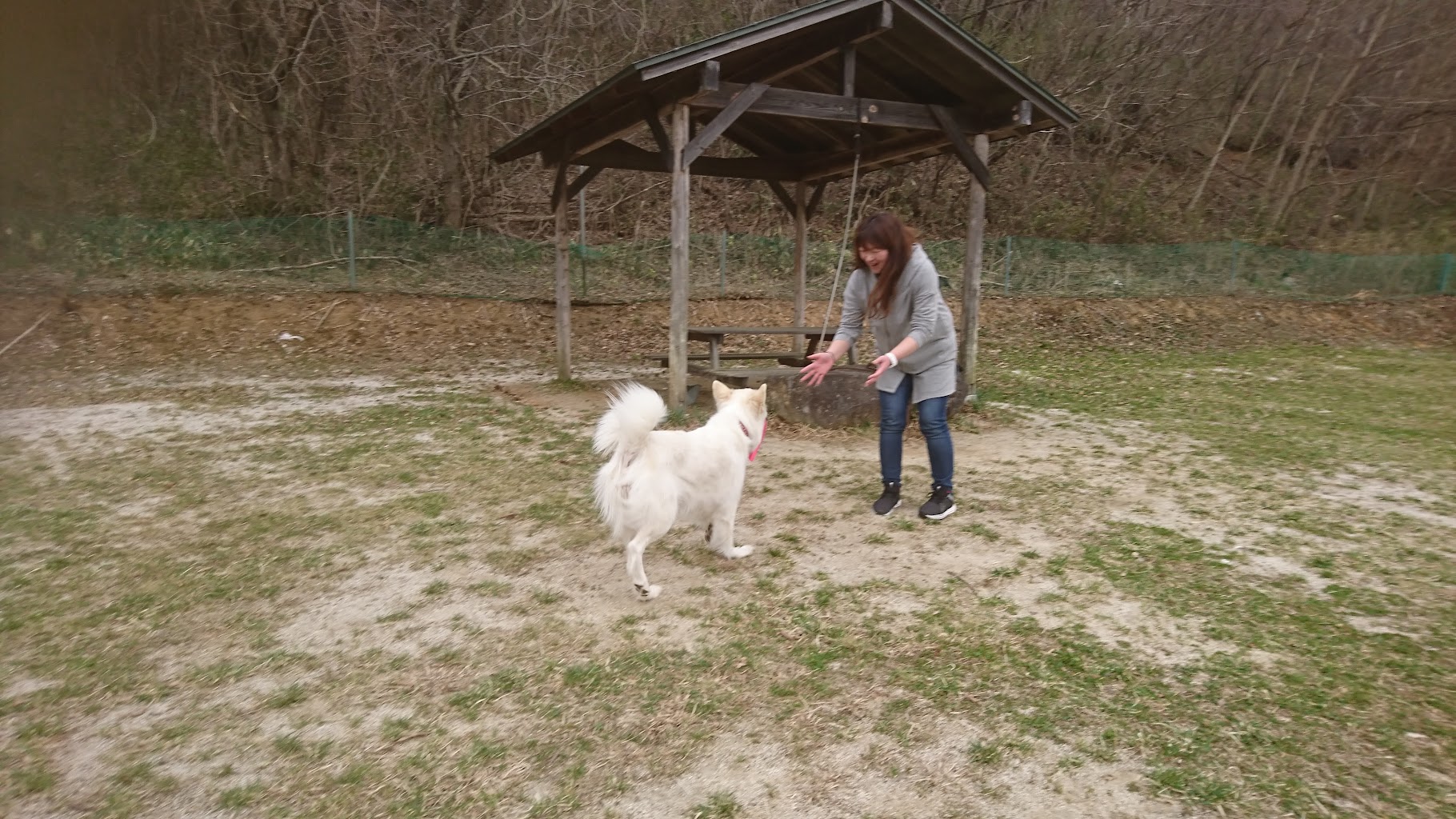 ドッグラン平田