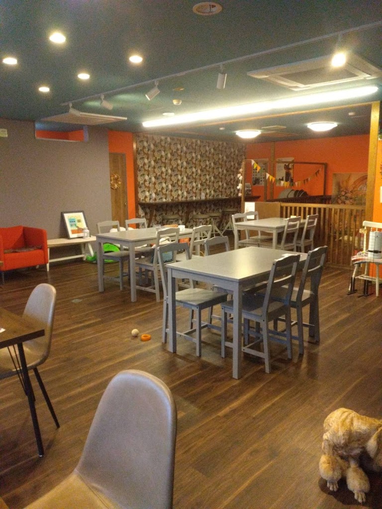 ドッグカフェバジルプラス