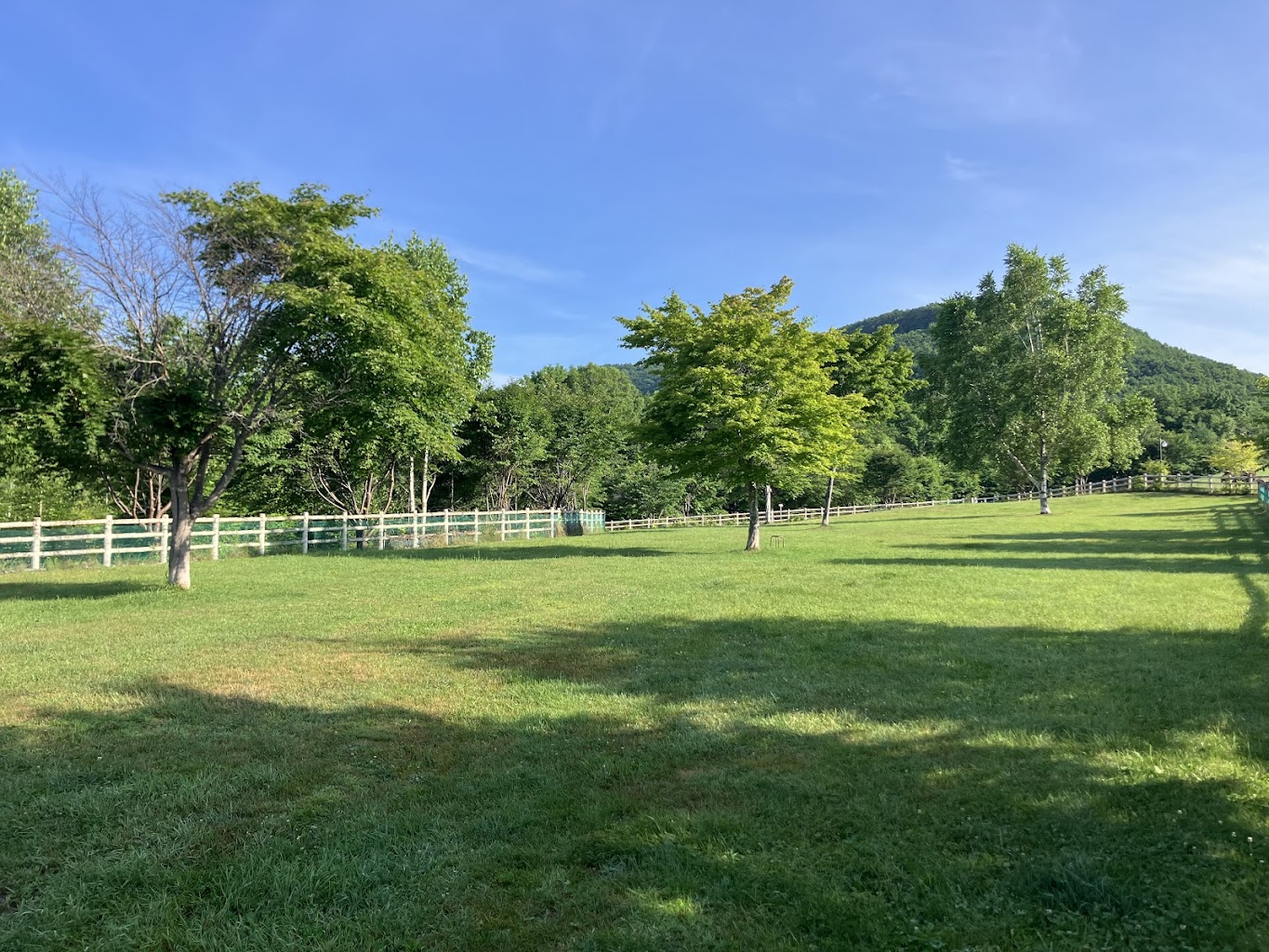 道の駅足寄湖　かけっこランド
