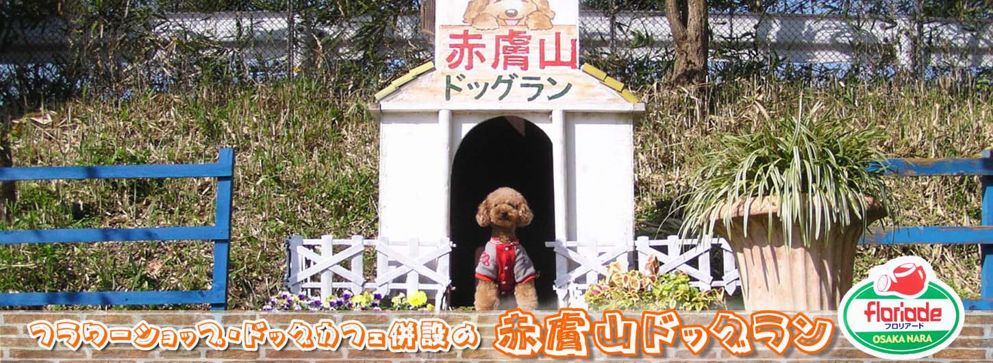 奈良赤膚山ドッグラン フロリアード