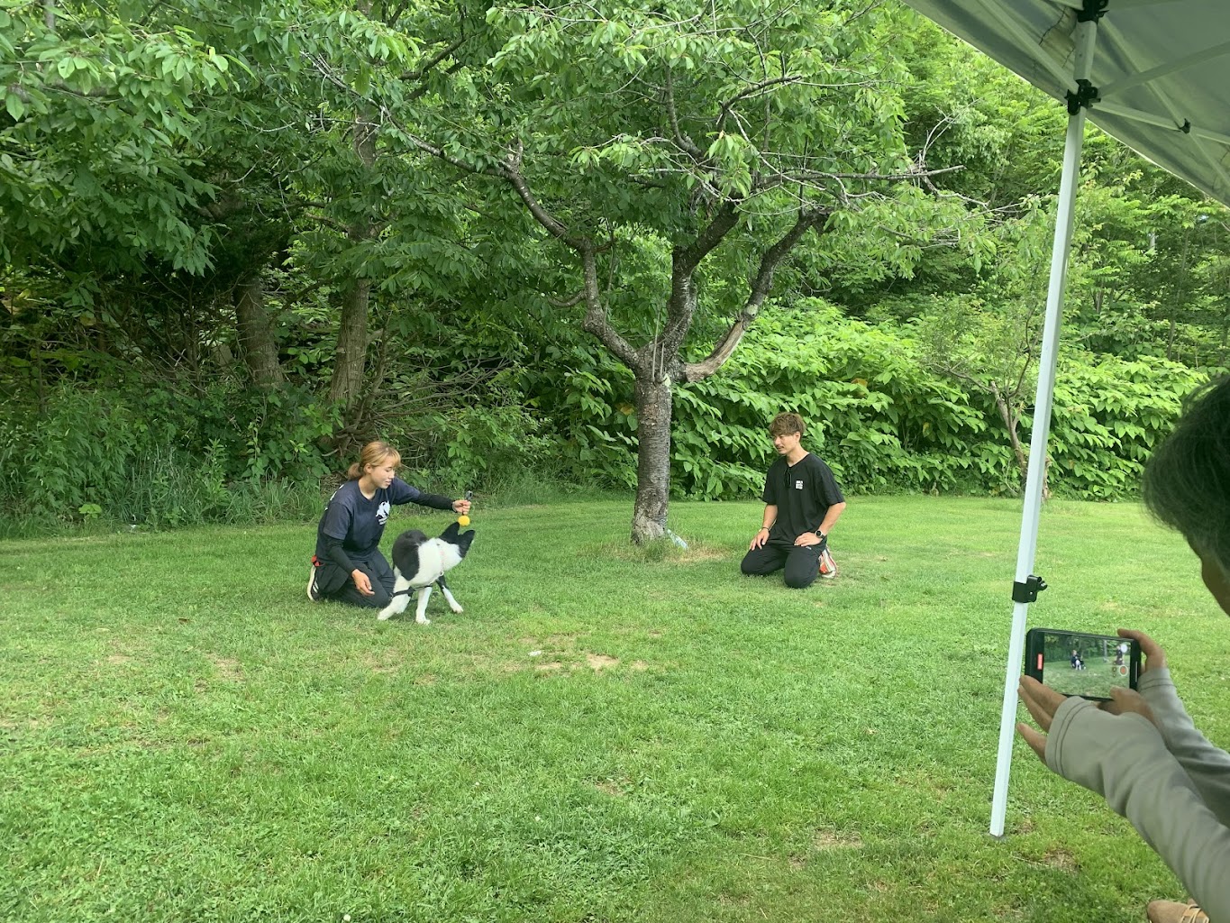 札幌ドッグスクール