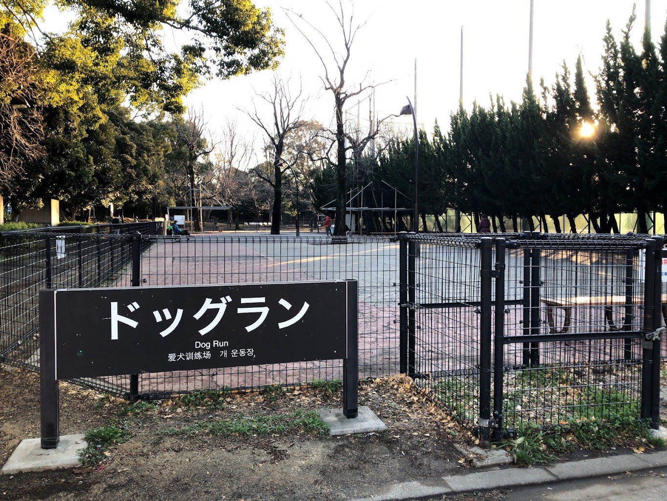 駒沢オリンピック公園ドッグラン