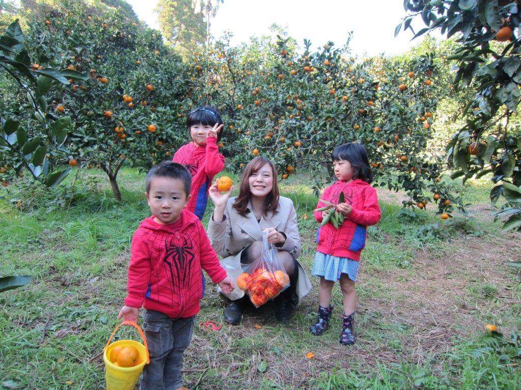 松本農園ドッグラン