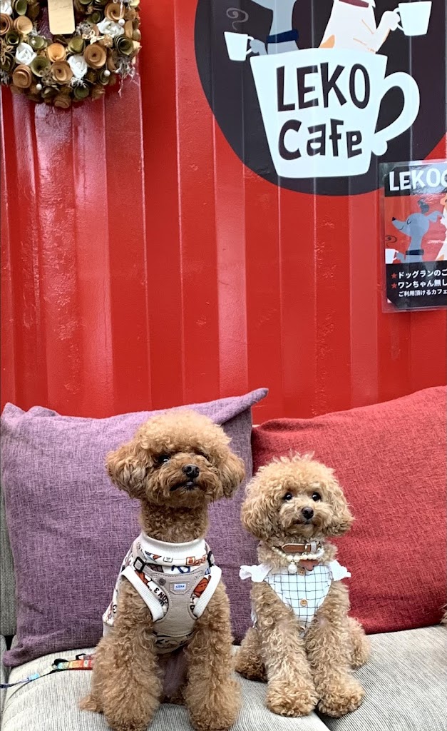 ノーティ・ドッグクラブ