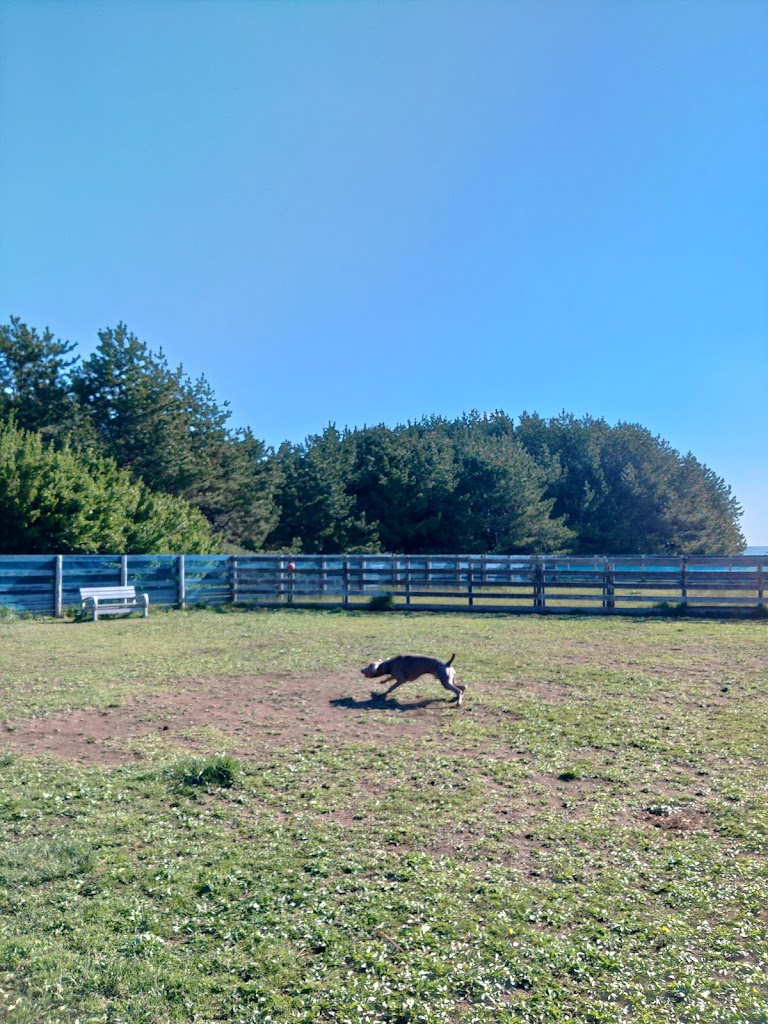四川目ふるさと広場 ドッグラン