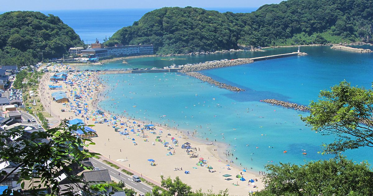 青井浜ワンワンビーチ