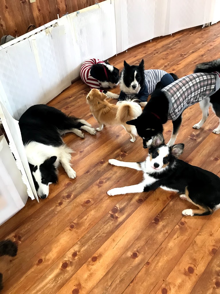 ドッグガーデンでぐま