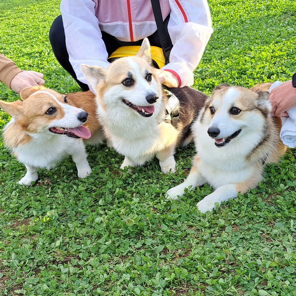 足洗潟公園 ドッグラン