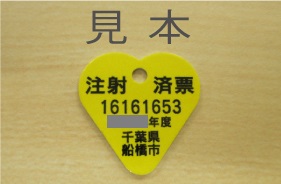 ふなばしアンデルセン公園ドッグラン