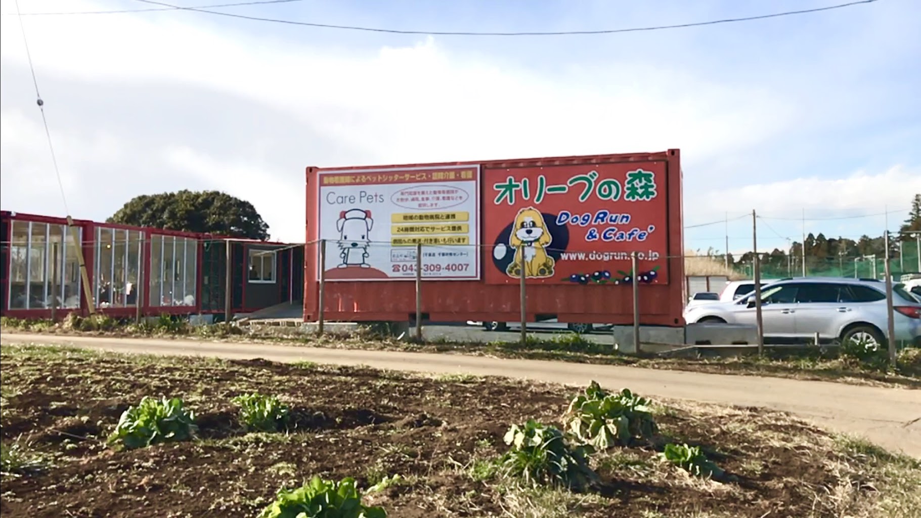 オリーブの森ドックラン＆カフェ