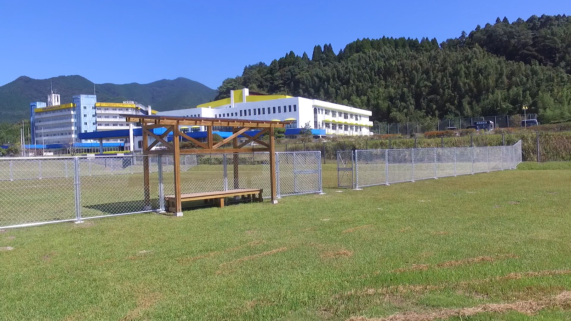 ニッチードッグラン