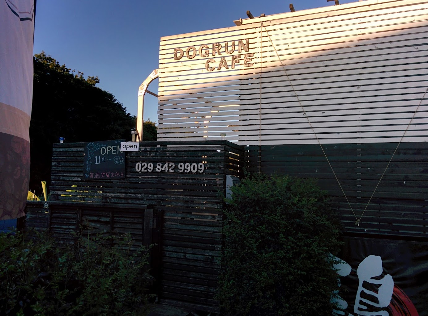 ツィンギー・アンド・パラダイス