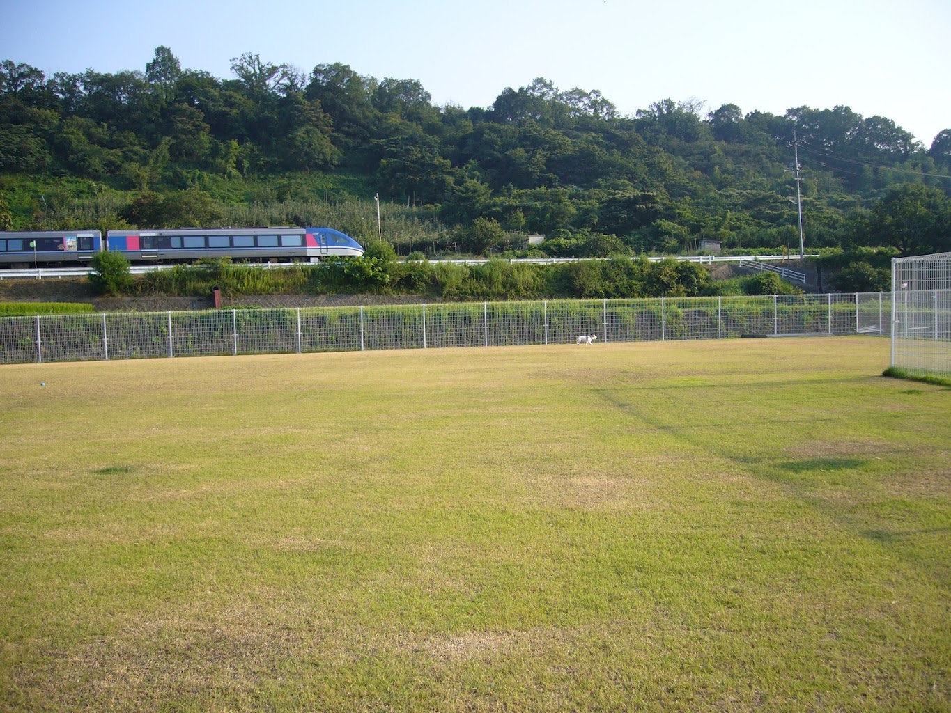 ペットサポート&スポーツフィールド カニス