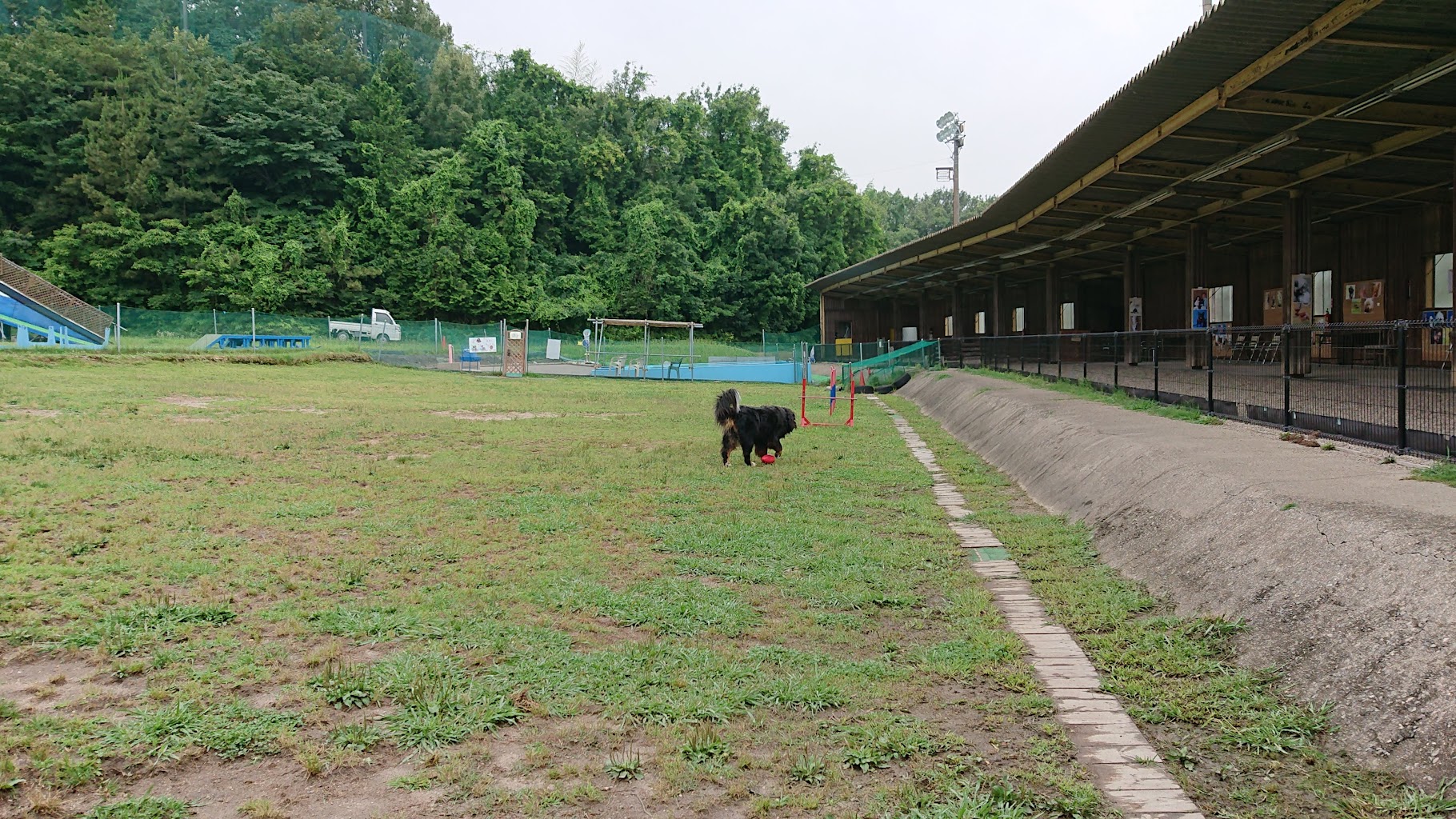 ドッグラン ディニーズガーデン