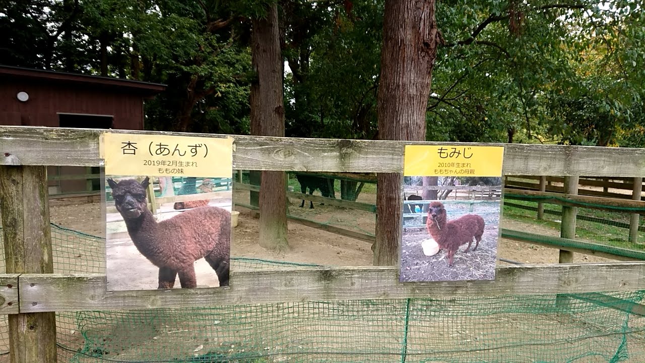 シェア金沢 ドッグラン