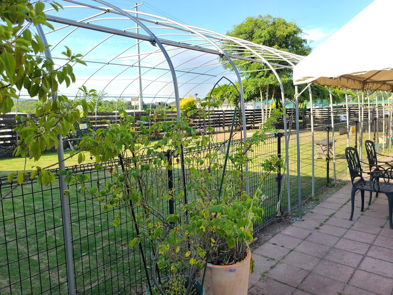 吉備路農園ガーデンドッグラン