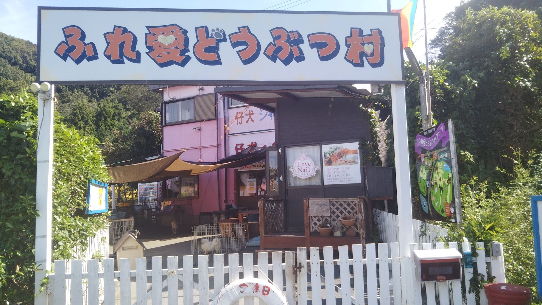 ふれ愛動物村ドッグラン