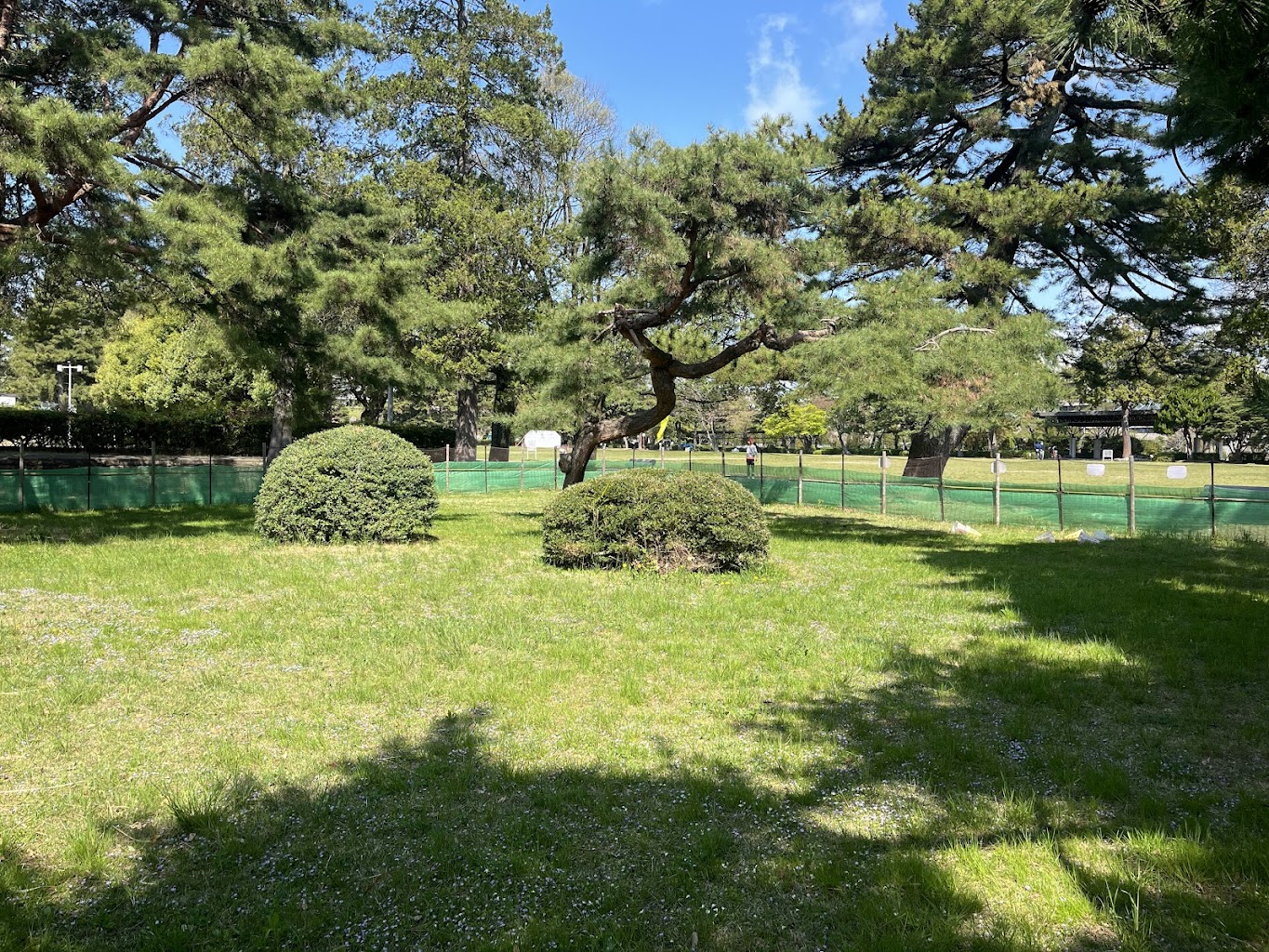 榴岡公園ドッグラン