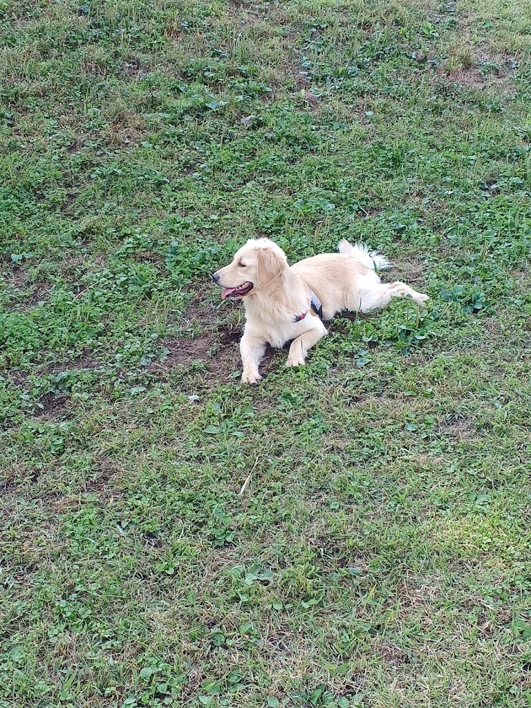 ＢｏｗｗｏｗＨｉｌｌｓ