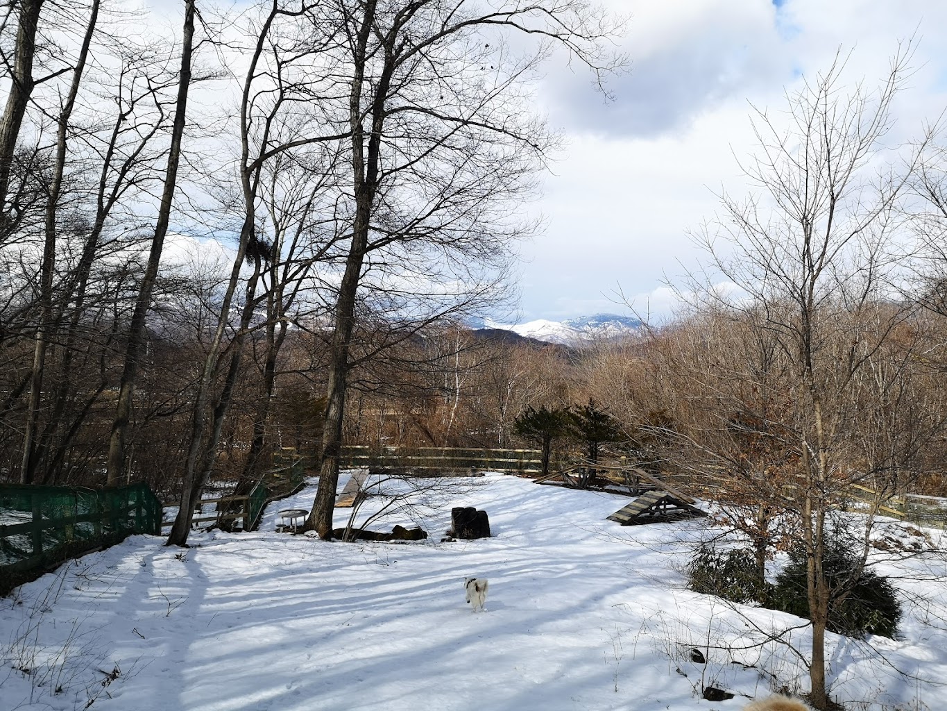 ASAMA hills DOG vacation