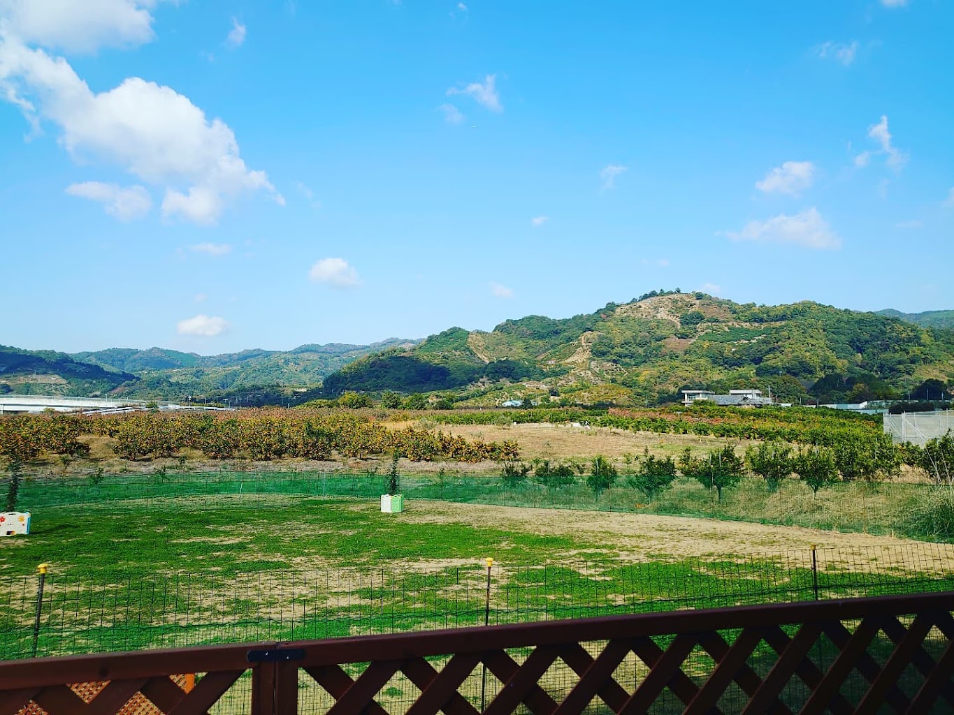 ドッグラン Beck