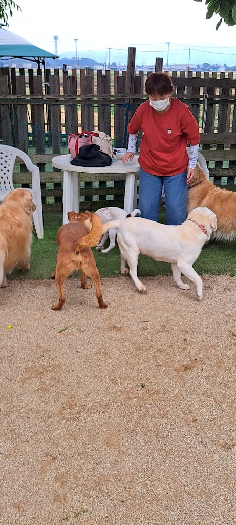 わんわんスポーツカフェBernerd（バーナード）