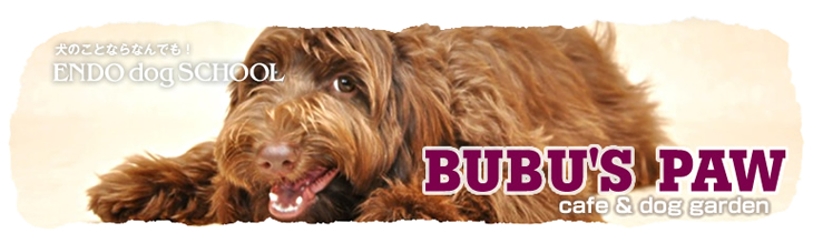 CAFE & DOG GARDEN BUBU’s PAW（ブブズ・ポー）
