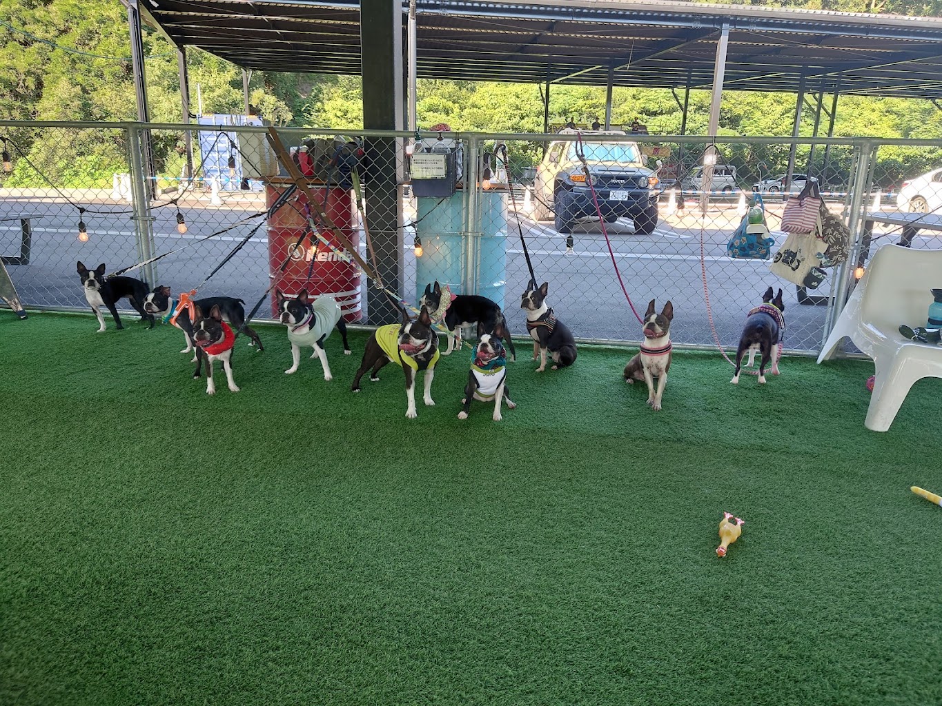 プラトピア　Cafe Sea Ray