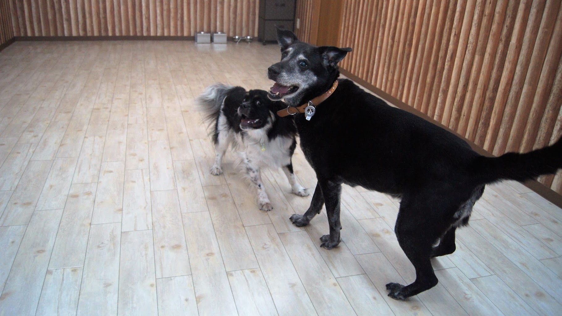 Cafe Terrace Poo+Wan（ﾌﾟｰﾌﾟﾗｽﾜﾝ）