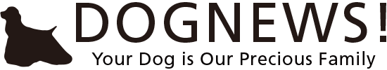 DOG NEWS!