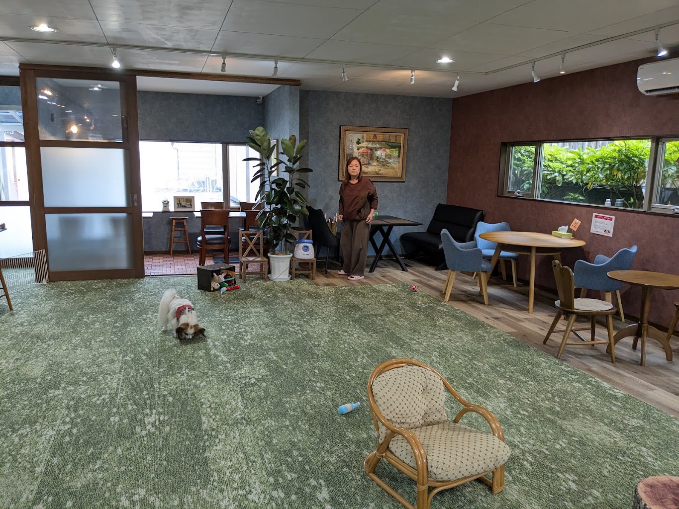 DOGRUNcafeプチ・プチ