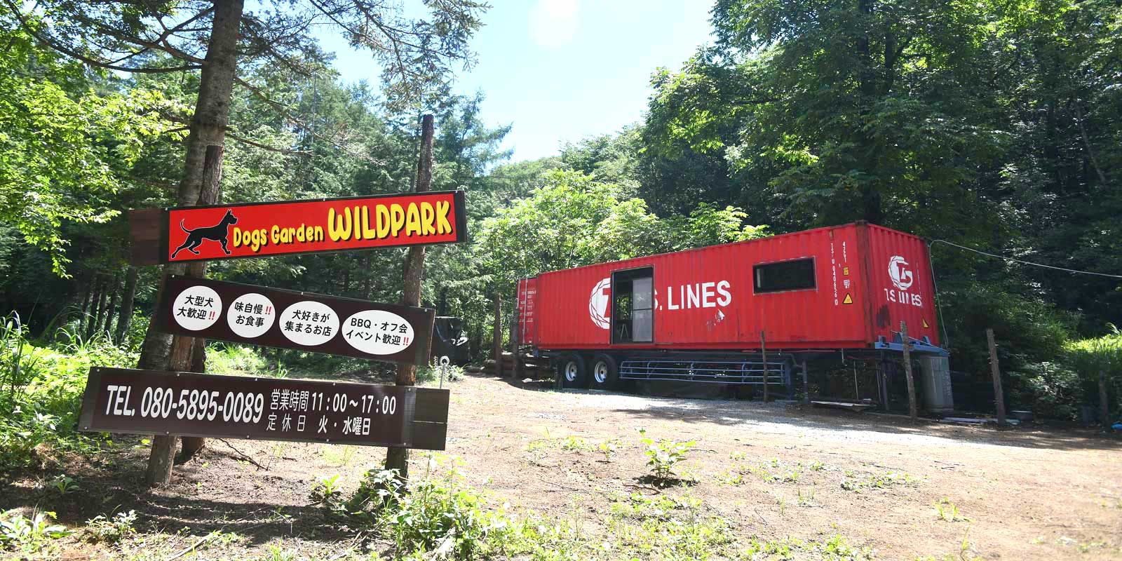 DOGS GARDEN WILD PARK