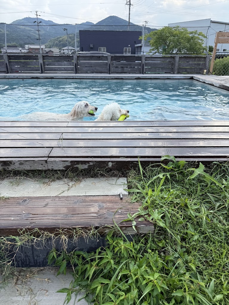 DOGS LIFE ロンシャンの庭