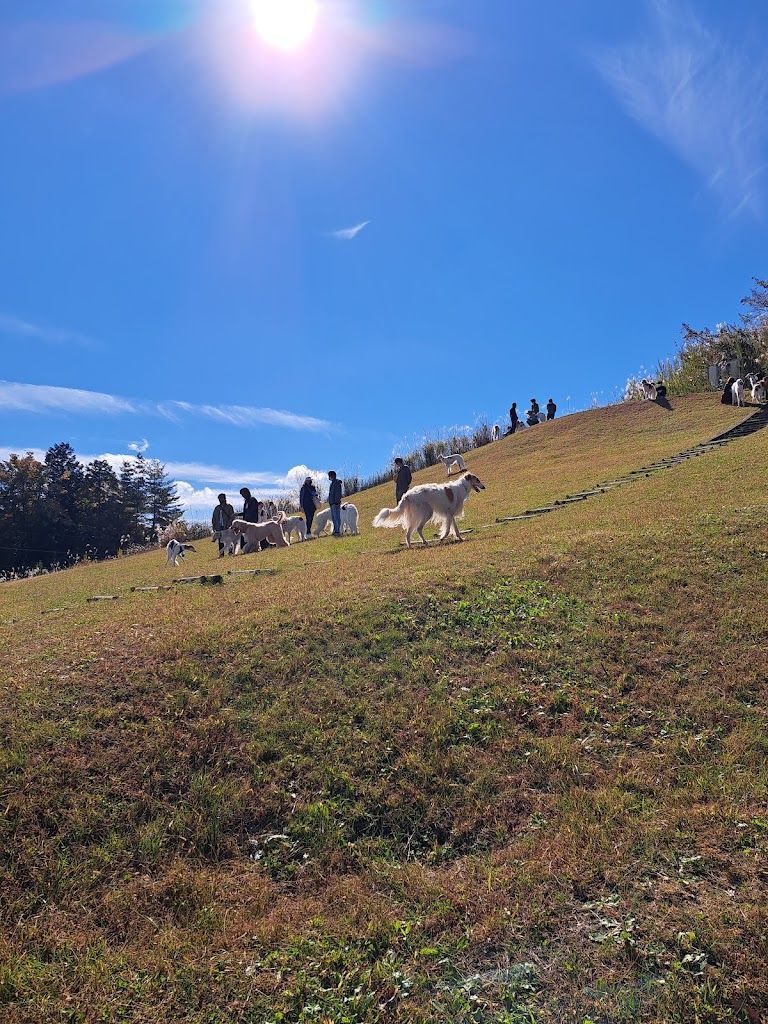 Dog Base ドッグラン