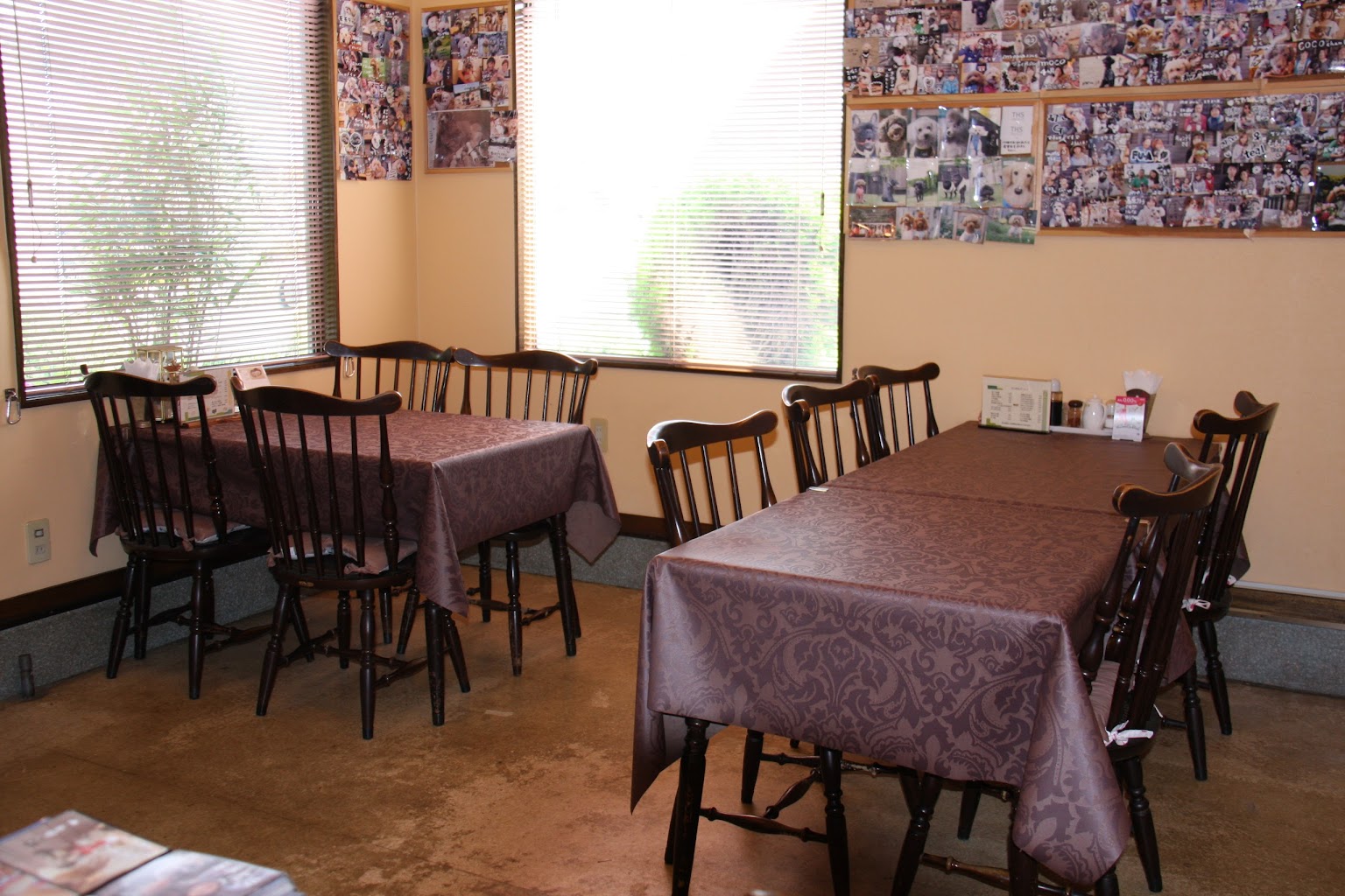 Dog Cafe Sunsui（ﾄﾞｯｸﾞｶﾌｪｻﾝｽｲ）