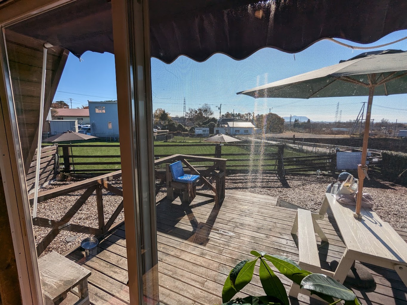 ﾄﾞｯｸﾞｶﾌｪ＆ﾄﾞｯｸﾞﾗﾝ Dog!Com（ﾄﾞｼﾞｺﾑ）