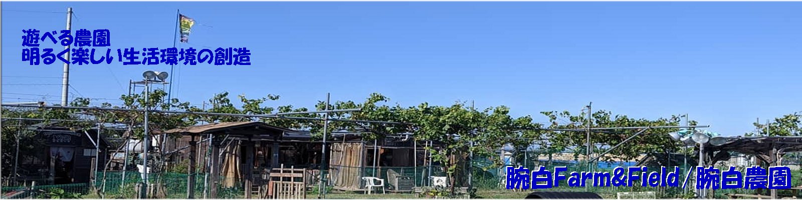 Dog Field Wowpark 腕白わんパーク